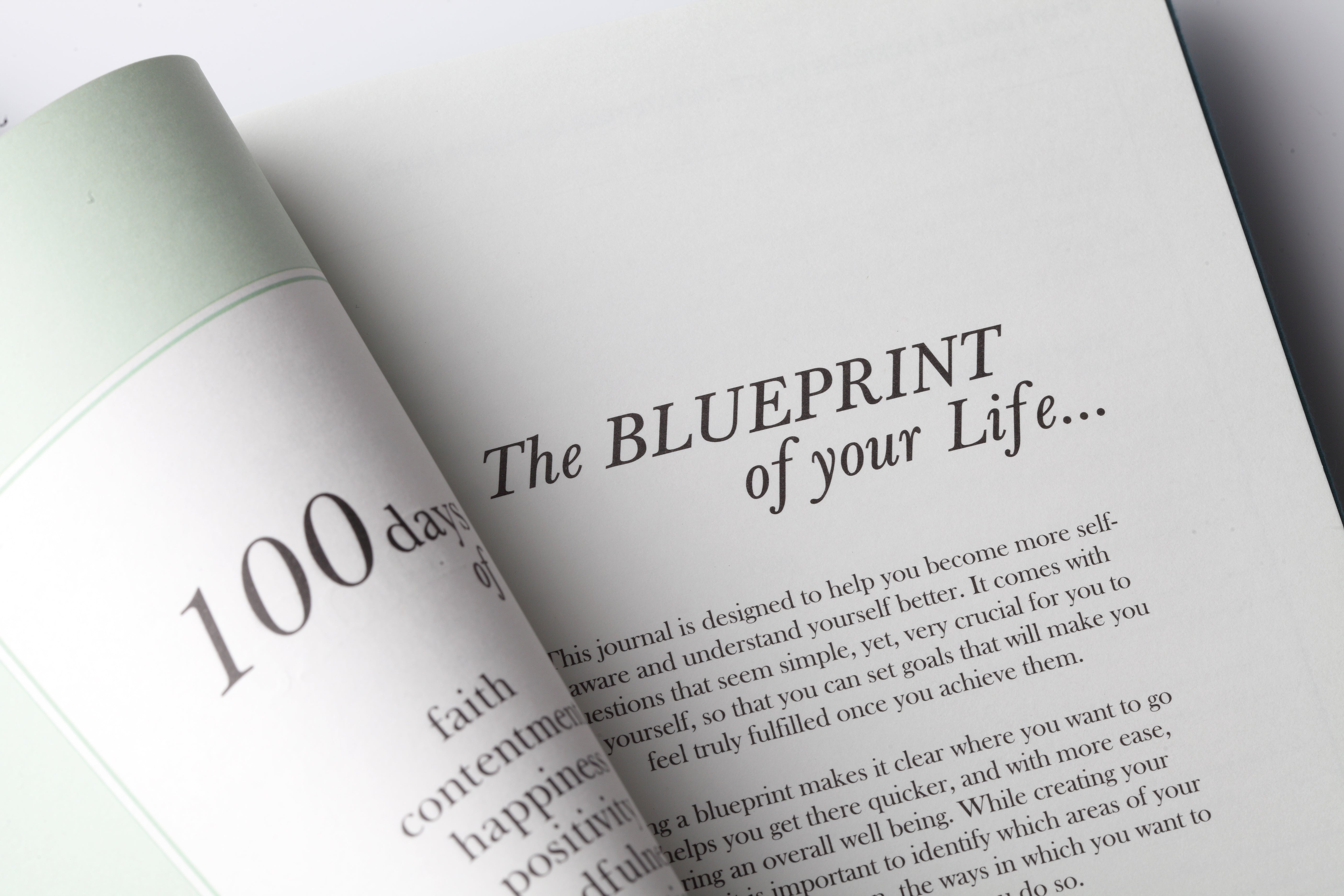 BLUEPRINT OF MY LIFE